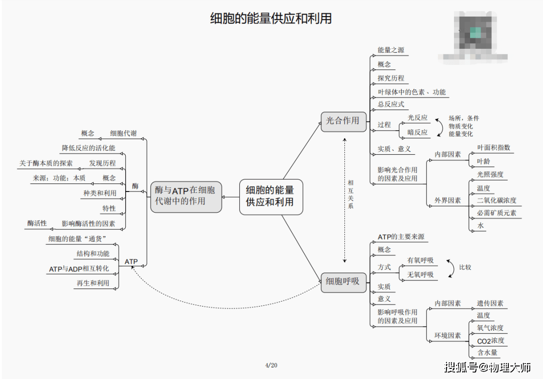 白小姐三肖三期必出一期开奖哩哩,白小姐三肖三期必出一期开奖哩哩——揭秘彩票神话