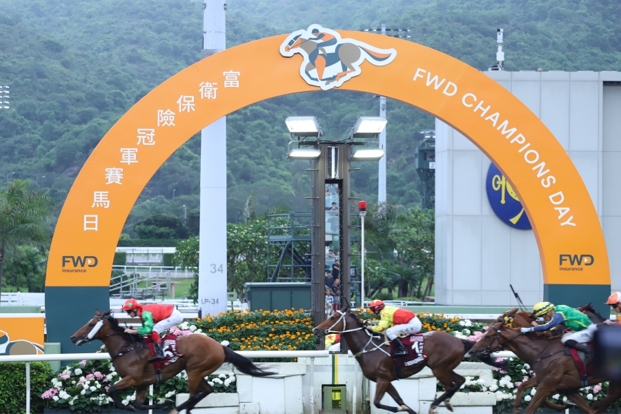 香港2024最准马资料免费,香港2024年最准马资料免费，探索赛马运动的魅力与最新资讯