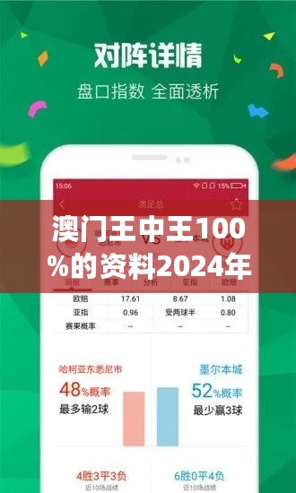 2024年新澳门王中王免费,探索新澳门王中王免费游戏世界的奥秘（2024年展望）