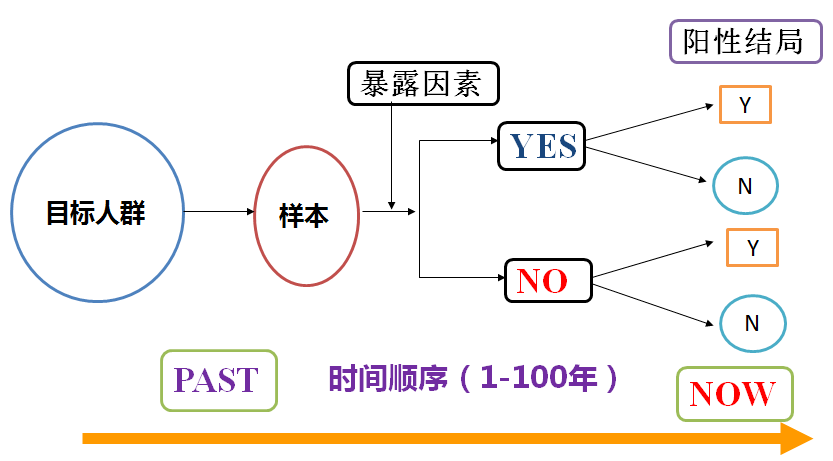 2024最新奥马资料,关于奥马资料的最新研究，探索未来的趋势与机遇（2024年最新资料分析）