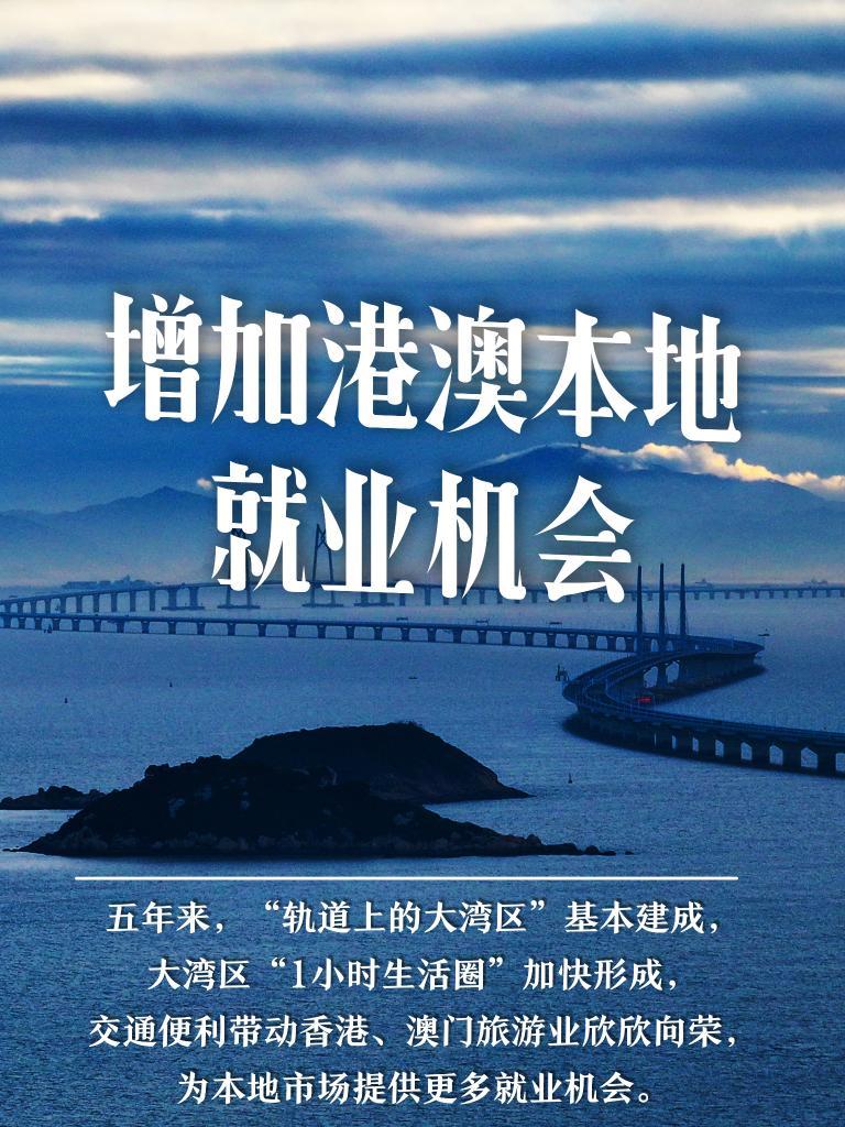 澳门今晚必定开一肖,澳门今晚必定开一肖，探索运气与命运的交织