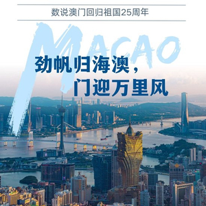 2025澳门精准正版图库,澳门正版图库，探索未来的视觉盛宴与数字时代的精准记录者