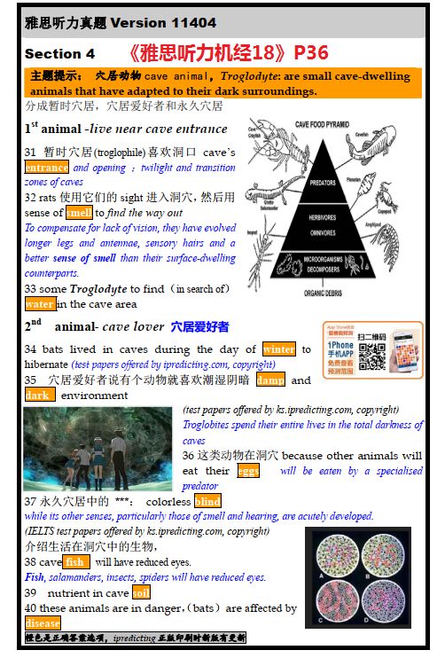 澳门免费公开资料最准的资料,澳门免费公开资料最准确的来源详解